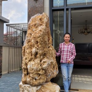 Đá cây phong thủy trang trí